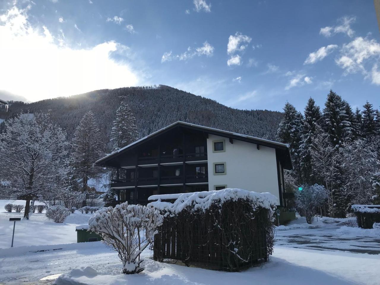 Appartementanlage Thermenblick Ski In & Ski Out 巴德小基希海姆 外观 照片